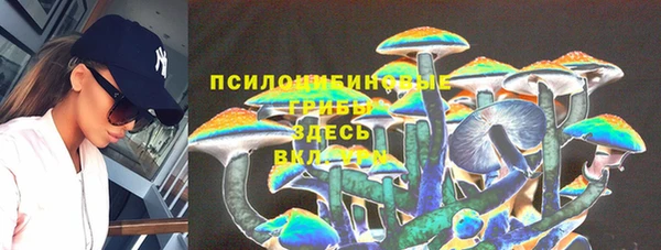 ALPHA PVP Бородино