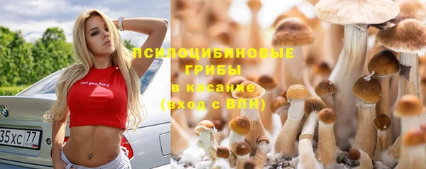 герыч Бронницы